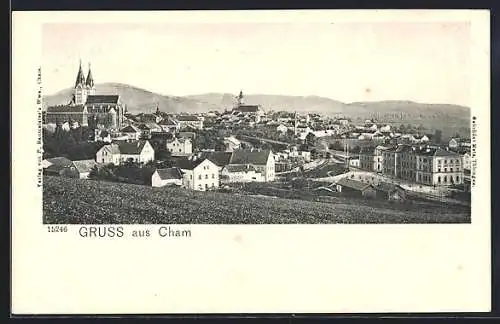 AK Cham, Teilansicht mit Kirche