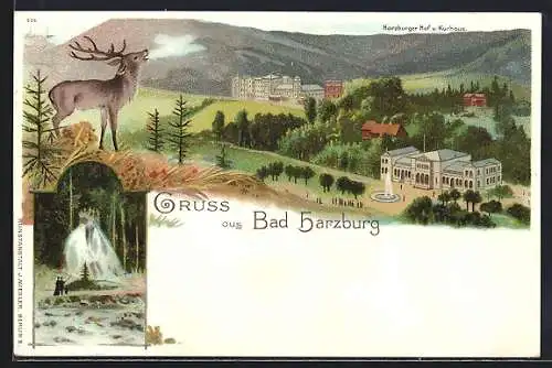 Lithographie Bad Harzburg, Radau-Wasserfall, Harzburger Hof und Kurhaus