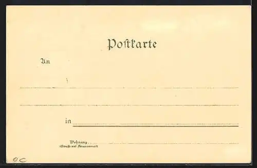 Lithographie Passau, Rathaus, Ober- u. Niederhaus, Hals