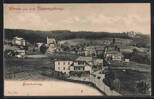 AK Brückenberg /Riesengebirge, Panorama