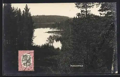 AK Punkaharju, Panorama