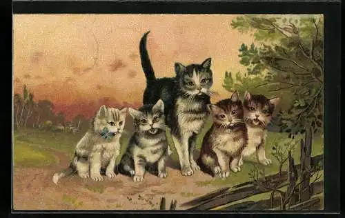 AK Katzenmutter mit ihren 4 Kitten