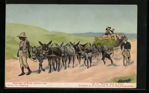 Künstler-AK sign. H. Egersdorfer: Sketches of South African Life, Riding fruit to Town