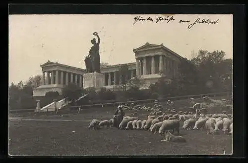 AK München, Schafherde vor Bavaria und Ruhmeshalle