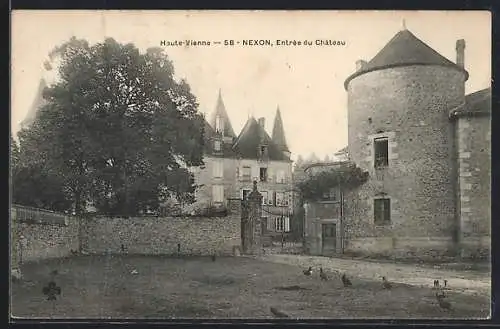 AK Nexon, Entrée du Château, poules