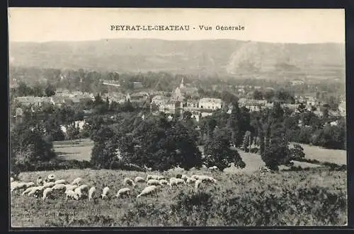 AK Peyrat-le-Chateau, Vue générale