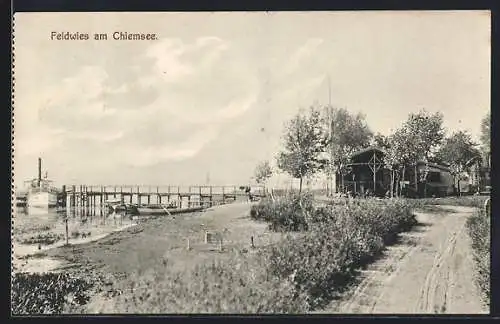 AK Feldwies am Chiemsee, Uferpartie mit Dampfer