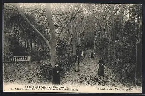 AK Ginoles-les-Bains, L`Allee d`entrée de l`Etablissement