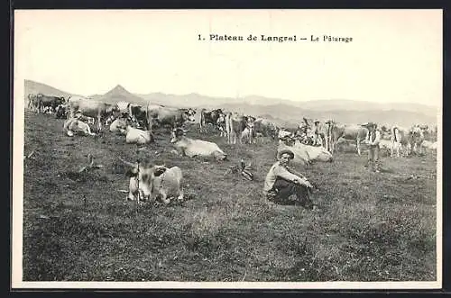 AK Plateau de Langral, Le Pâturage