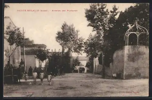 AK Sainte Eulalie /Aude, Avenue des Platanes