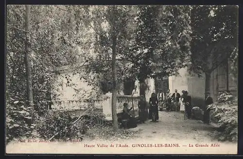 AK Ginoles-les-Bains, La Grande Allée