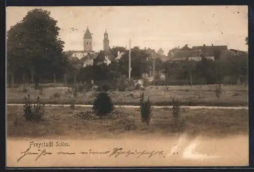 AK Freystadt /Schl., Blick zur Ortschaft vom Feld aus