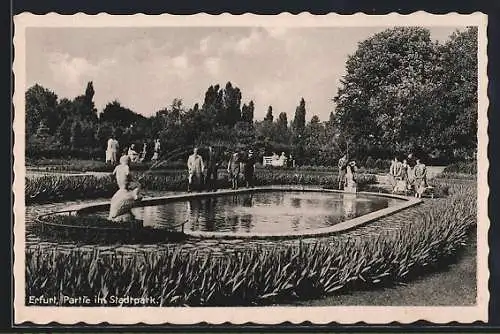 AK Erfurt, Partie im Stadtpark