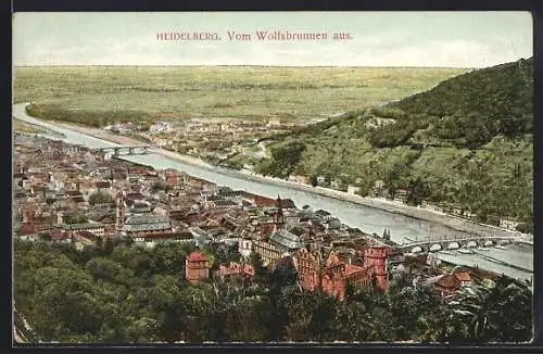 AK Heidelberg, Ortsansicht vom Wolfsbrunnen aus gesehen mit Schloss, Römerbrücke und dem Neckar