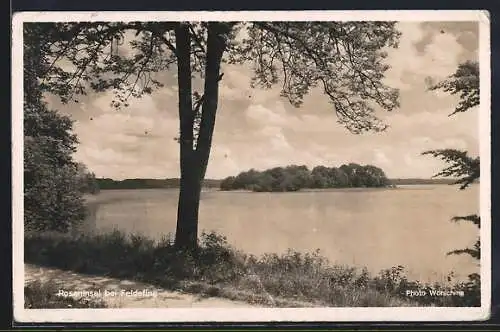AK Feldafing, Blick zur Roseninsel
