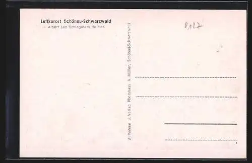 AK Schönau-Schwarzwald, Ortsansicht aus der Vogelschau