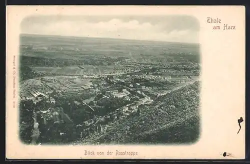 AK Thale am Harz, Blick von der Rosstrappe