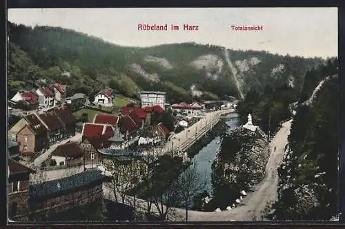 AK Rübeland im Harz, Ortsansicht aus der Vogelschau