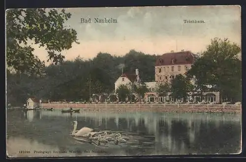 AK Bad Nauheim, Teichhaus und Schwäne auf dem Wasser