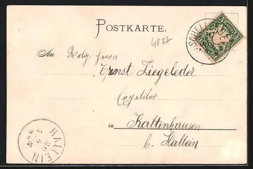 AK Schellenberg b. Berchtesgaden, Wasserfall im Almbachklamm, Gesamtansicht