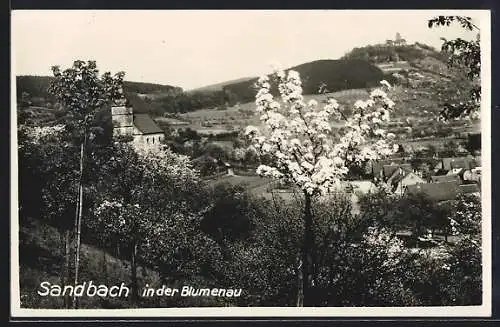 AK Sandbach / Donau, Ortspartie mit Kirche