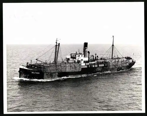 Fotografie Frachtschiff / Stückgutfrachter Baltkon mit Baumstämmen beladen