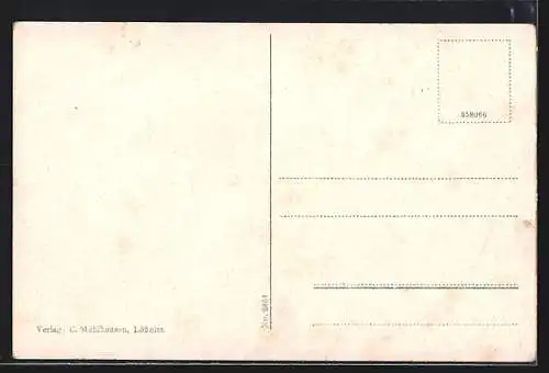 AK Lössnitz / Erzg., Panorama