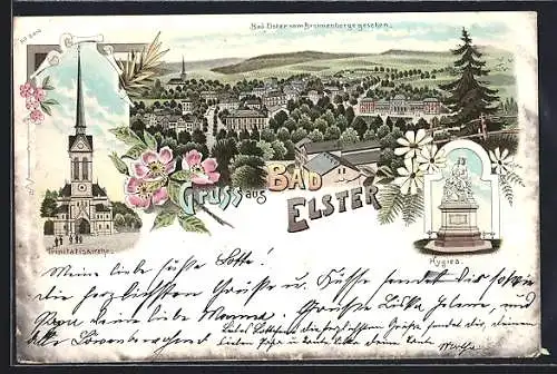 Lithographie Bad Elster, Blick vom Brunnenberg über die Dächer der Stadt, Trinitatiskirche, Hygiea