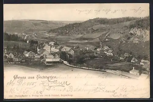 AK Eichhofen / Opf., Teilansicht mit Strassenpartie