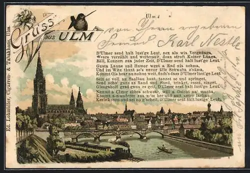 Lithographie Ulm / Donau, Teilansicht mit Münster, Ulmer Spatz