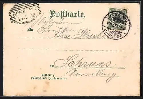 Lithographie Ulm / Donau, Teilansicht mit Münster, Ulmer Spatz