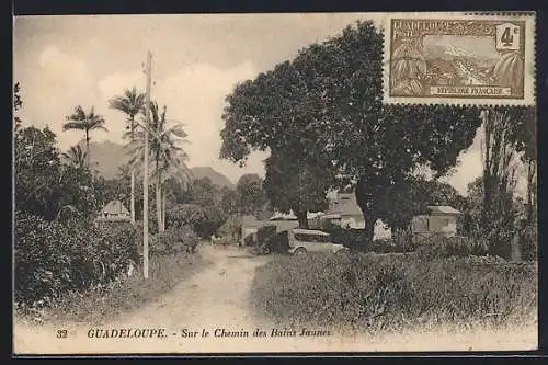 AK Guadeloupe, Sur le Chemin des Bains Jaunes