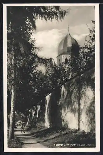 AK Fraueninsel, Ortspartie mit Mauer