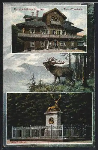 AK Thale-Treseburg /Harz, Gasthaus Dambachshaus, Pfeils Denkmal, Hirsch