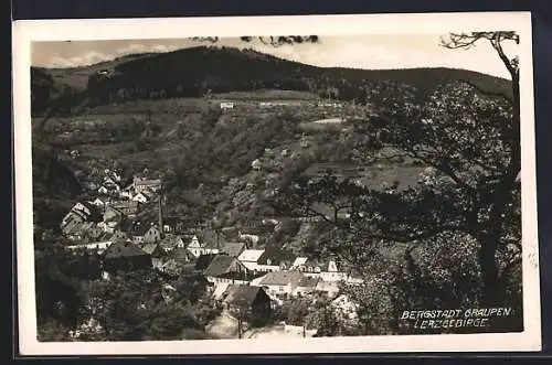 AK Graupen i. Erzgebirge, Panorama