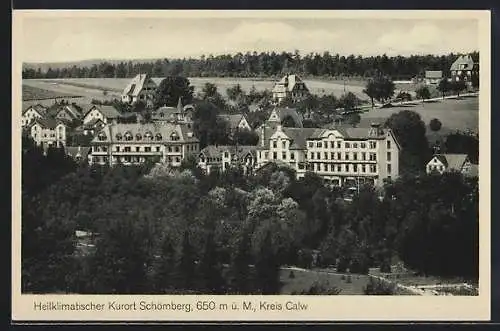 AK Schömberg /Calw, Ortspartie