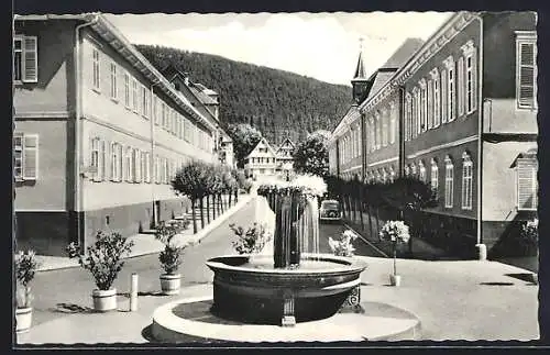 AK Teinach im Schwarzwald, Blick aus dem Portal des Bad-Hotels mit Brunnen