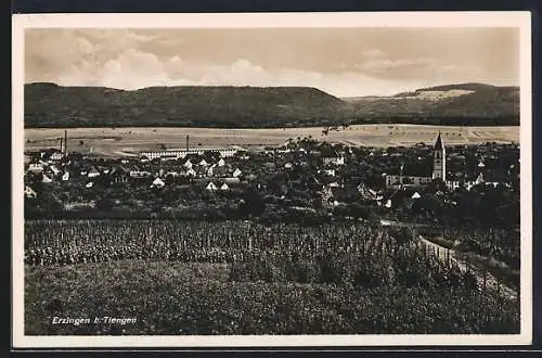 AK Erzingen / Klettgau, Teilansicht mit Kirche