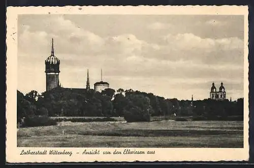 AK Wittenberg / Lutherstadt, Ortsansicht von den Elbwiesen aus