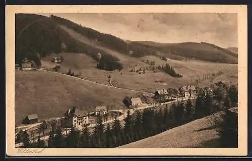 AK Wildenthal /Eibenstock, Ortsansicht mit Umgebung aus der Vogelschau