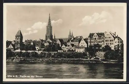 AK Ulm a. D., Stadtpanorama vom Wasser aus