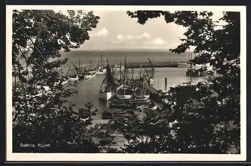 AK Sassnitz /Rügen, Hafenpartie mit Fischerbooten