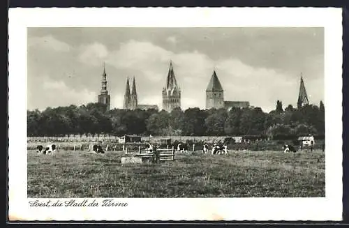 AK Soest, Turm-Panorama von einer Kuhweide aus