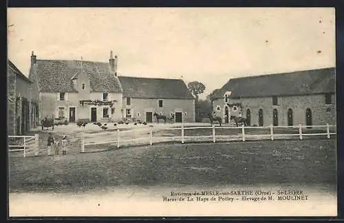 AK St-Léger /Le Mesle-sur-Sarthe, Haras de La Hayne de Poeley, Elevage de M. Moulinet