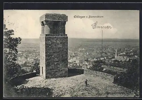 AK Ettlingen, Teilansicht vom Bismarckturm aus