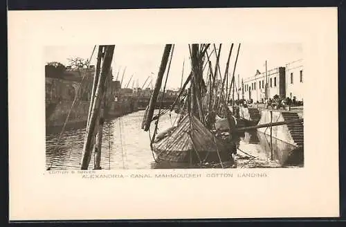 AK Alexandria, Canal Mahmoudieh Cotton Landing