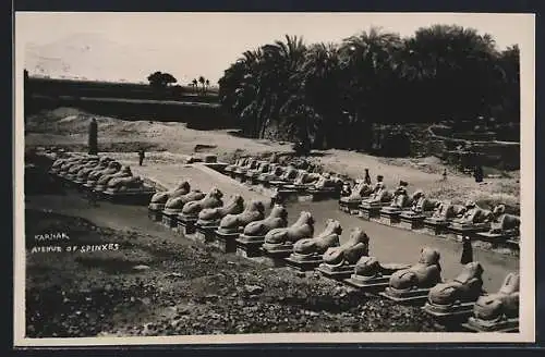 AK Karnak, Avenue of Sphinxes