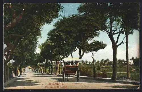 AK Alexandrie, Promenade de Ramleh