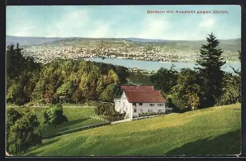AK Stallikon, Baldern, Teilansicht mit Aussicht gegen Zürich