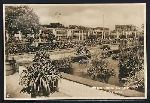 AK Berlin, Ausstellung Sommerblumen am Funkturm 1934